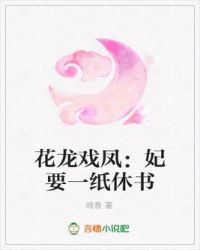 花龙戏凤:妃要一纸休书
